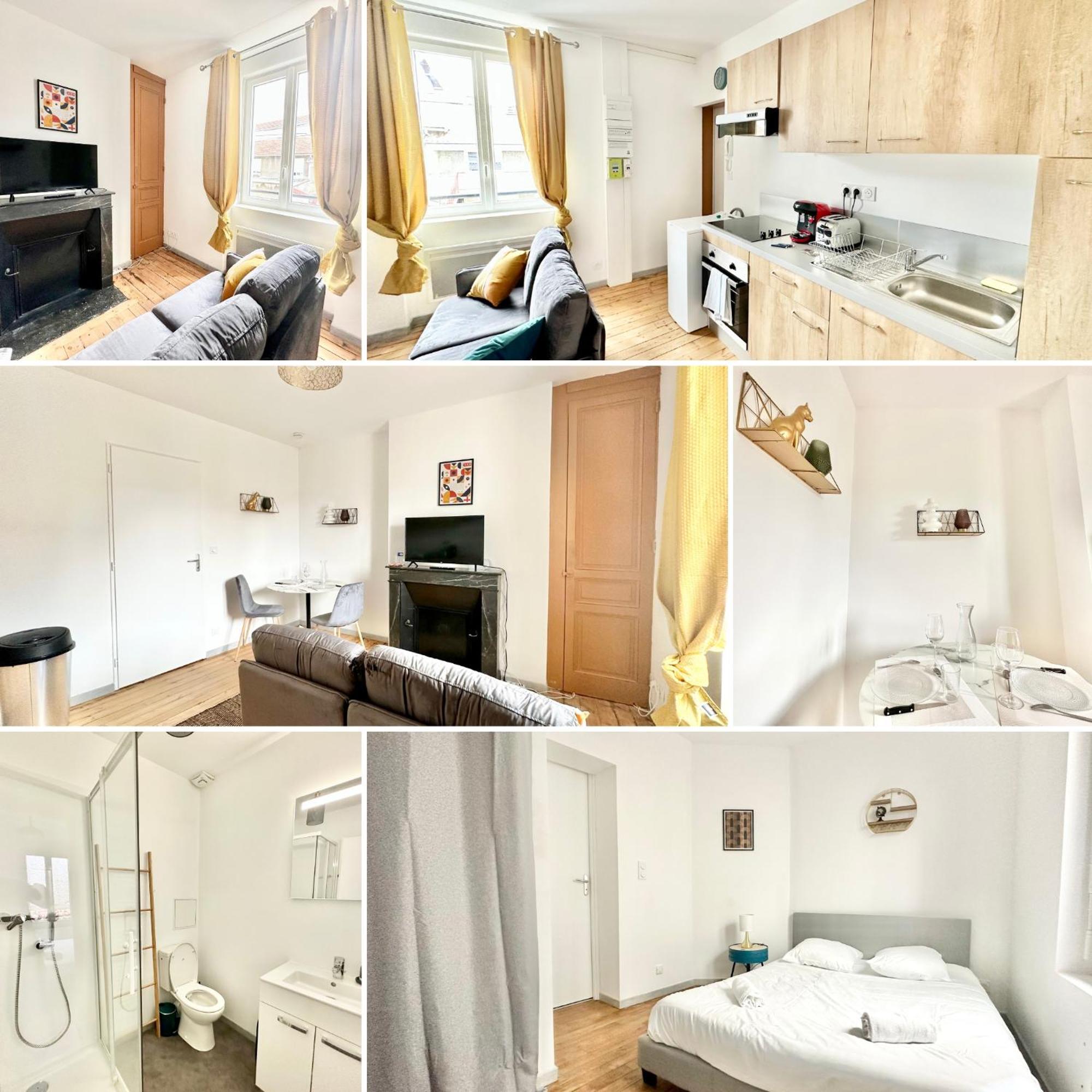 Appartement Le Titane Renove Et Epure Limoges